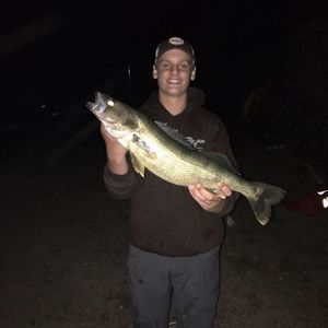 Meet your Posher, Joe